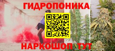 стафф Лесосибирск