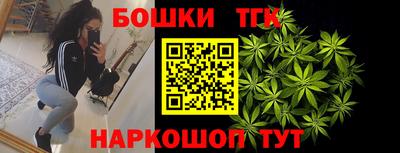 стафф Лесосибирск