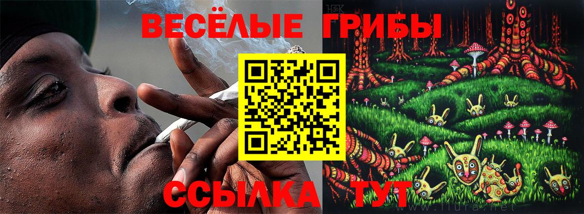 Видное  Галлюциногенные грибы Cubensis  как найти закладки  Вход с VPN 
